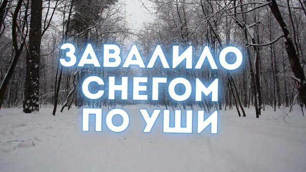 По уши в снегу