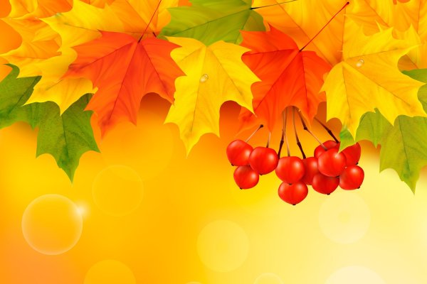 Осенний фон