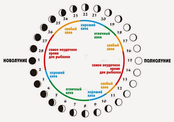 Клев рыбы по фазам Луны таблица