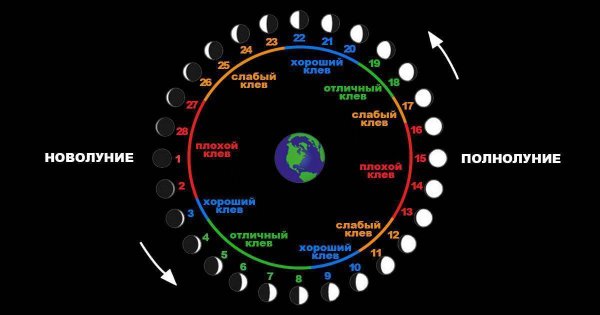 Влияние клева рыбы от фазы Луны