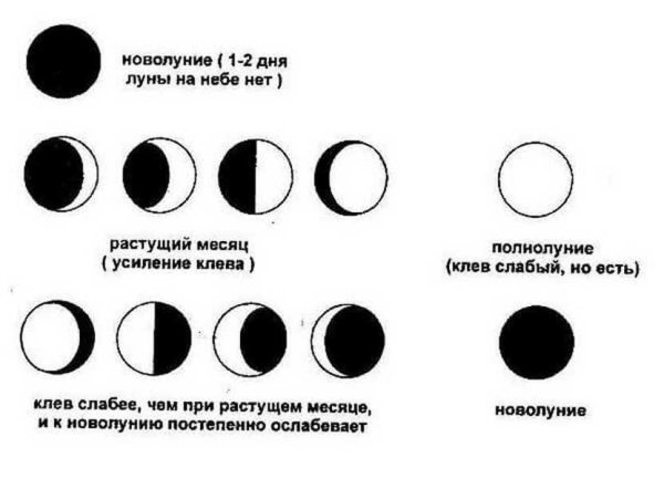 Влияние клева рыбы от фазы Луны