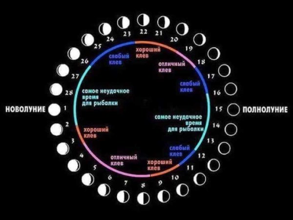 Клев рыбы по фазам Луны 2021