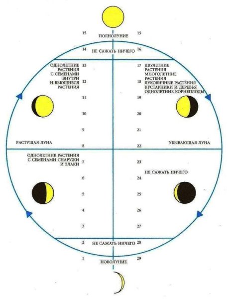 Влияние фаз Луны на клев рыбы