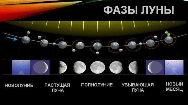 Фазы Луны для рыбалки