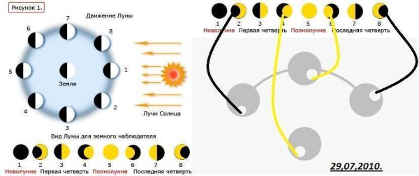 Влияние фаз Луны на клев рыбы