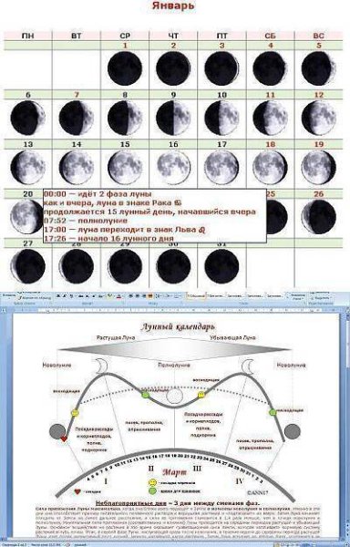 Клев по фазам Луны