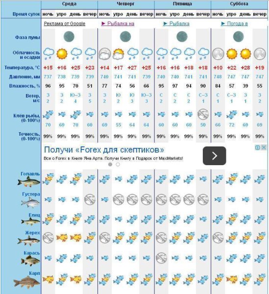Фазы Луны и клев рыбы