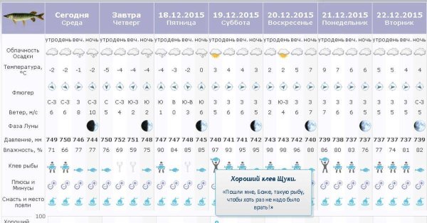 Влияние лунных фаз на клев рыбы