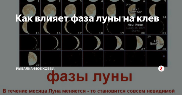 Фазы Луны для рыбалки