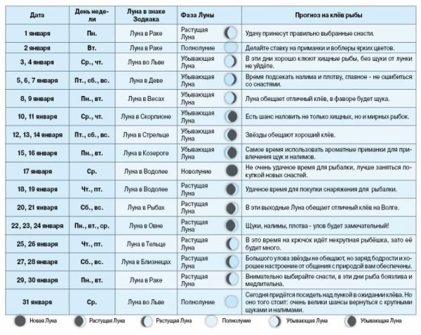 Фазы Луны влияющие на клев рыбы
