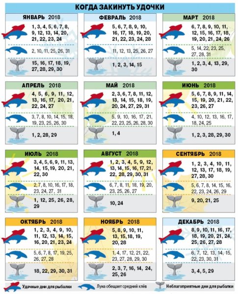Лунный календарь для рыбалки по фазе Луны