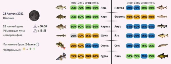 Клев 27 августа