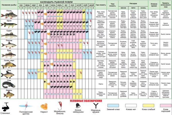Таблица ловли рыбы по месяцам