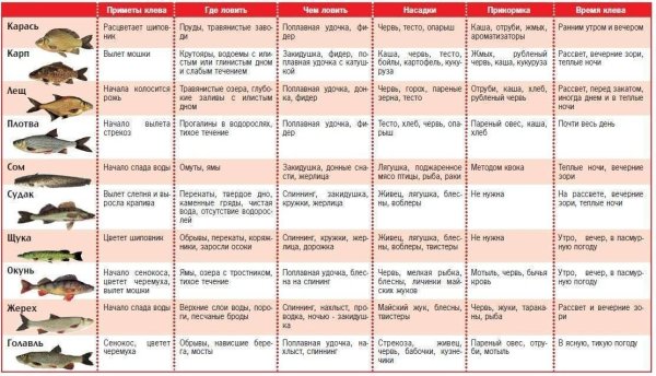 Таблица рыболова 2021