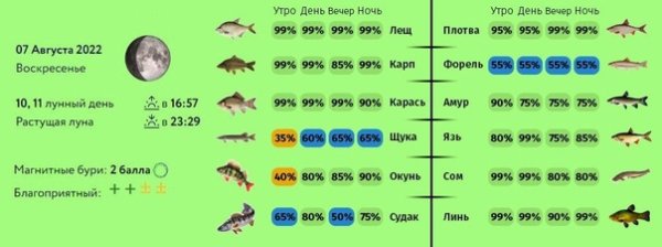 Вечерний клев в августе