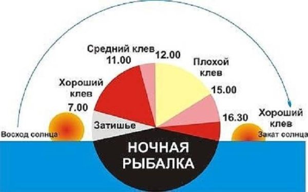 Влияние Луны на клев рыбы