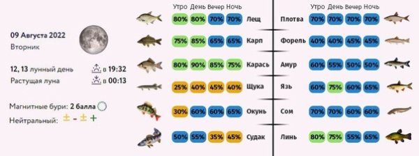Клев рыбы по фазам Луны