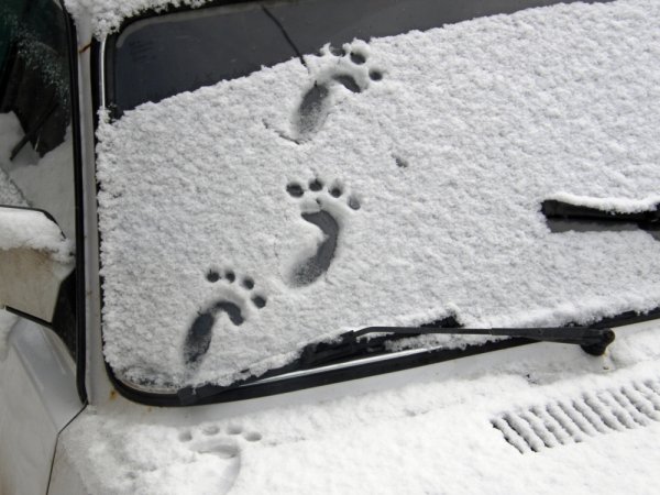 Рисование на снегу автомобиля