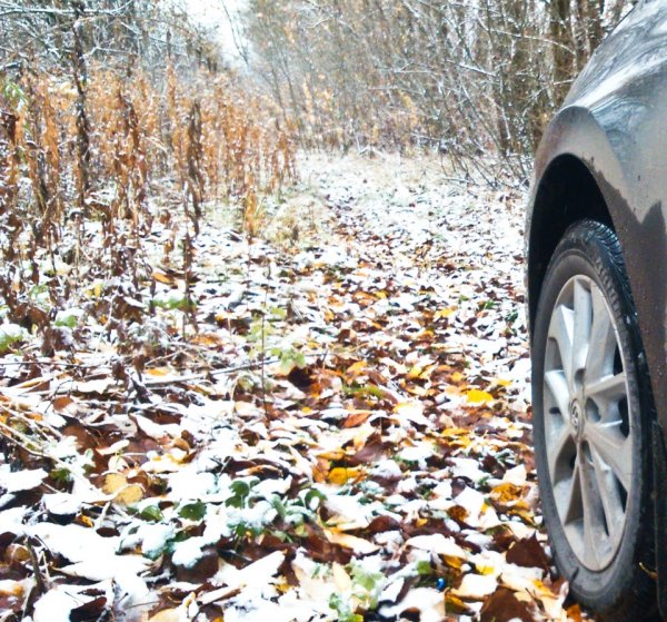 Первый снег авто