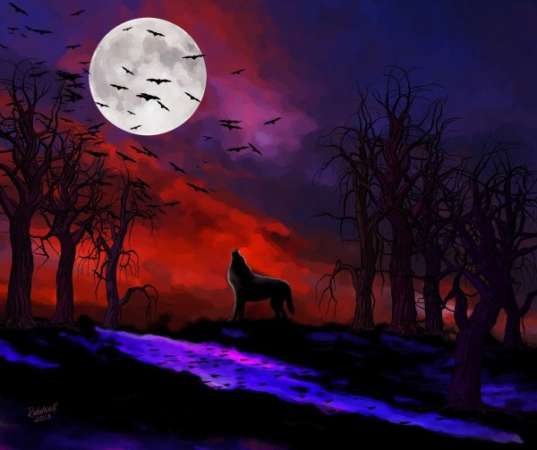 Ночной пейзаж с волком и луной