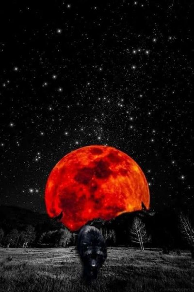 Красная Луна