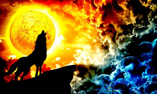 Волки Луна и солнце
