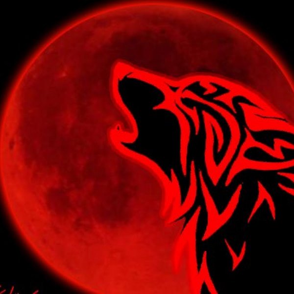 Красный волк на черном фоне