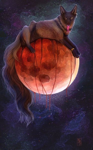 Лиса в космосе