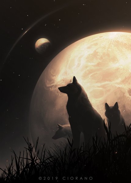 Лунный волк арт