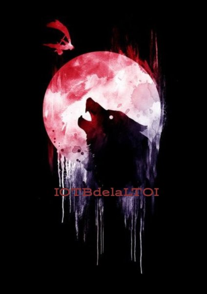 Кровавая Луна волк