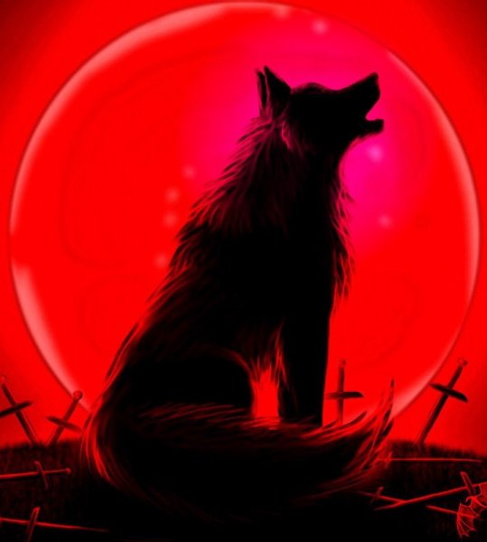 Волк на фоне красной Луны