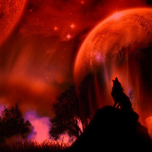 Волк на фоне красной Луны