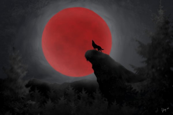 Волк и красная Луна