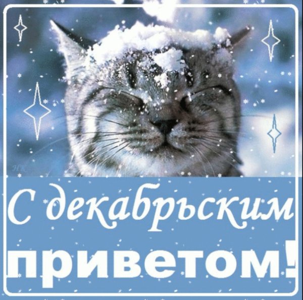 С первым днем зимы доброе утро