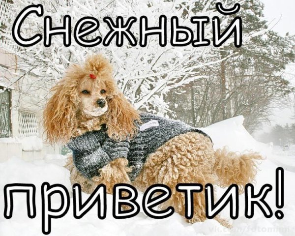 Теплый приветик в зимний день