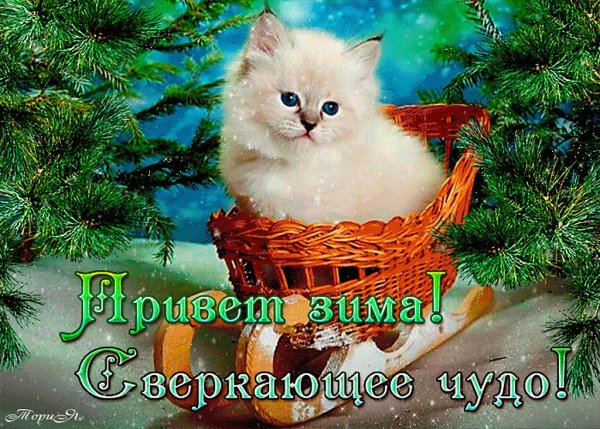Красивые зимние приветы