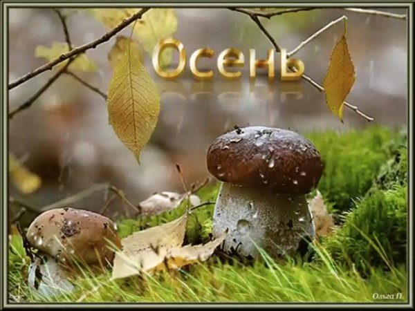 Доброе осеннее утро с грибами