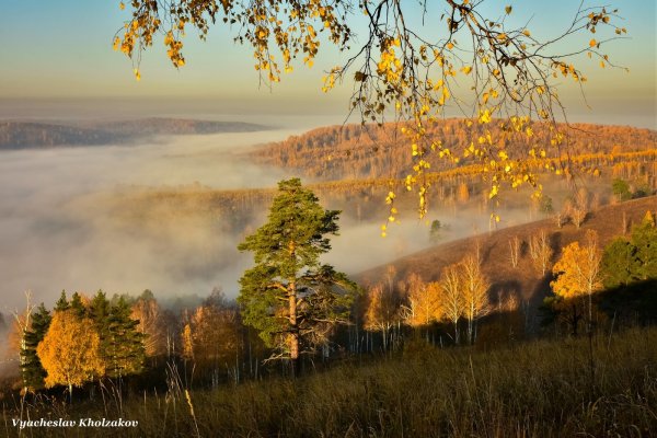 Утренний осенний пейзаж