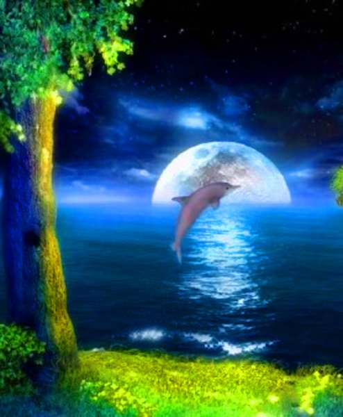 Успокаивающая анимация