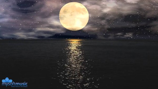 Луна звезды море