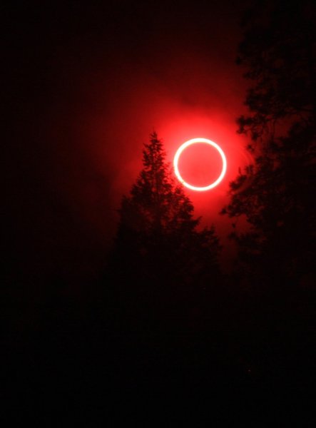 Красная ночь