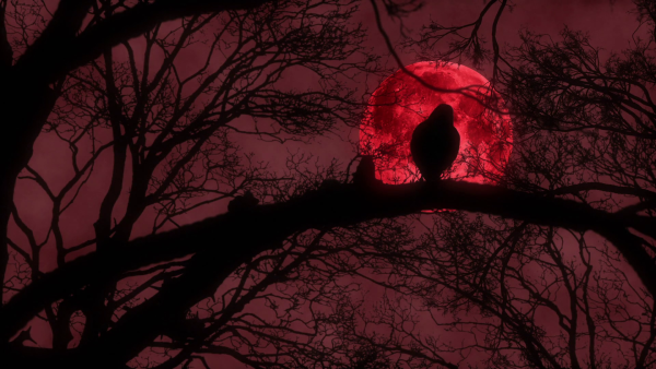 Ворон Кровавая Луна