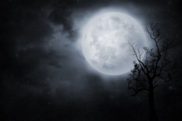 Зловещее полнолуние