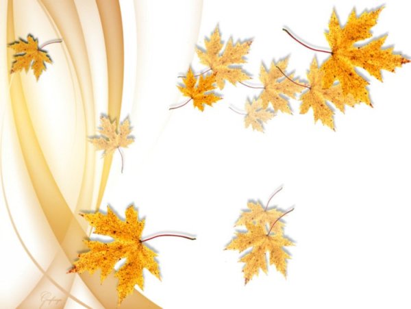 Желтые листья рамка