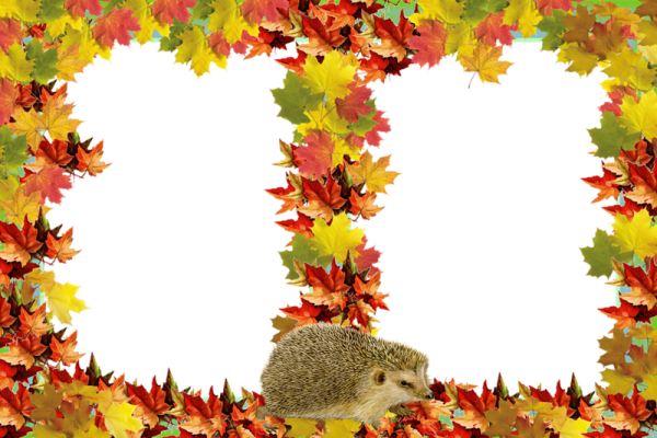 Осенние листья рамка