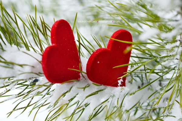 Зимнее сердечко