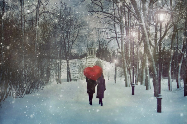 Влюбленные под Снегопадом