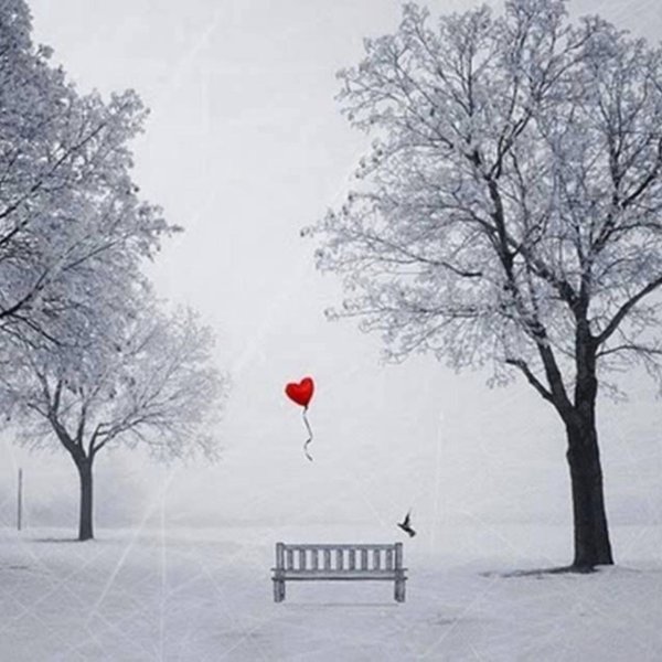 Сердце зимой