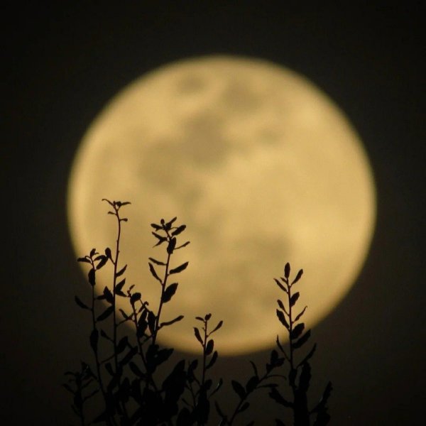 Эстетики Луны