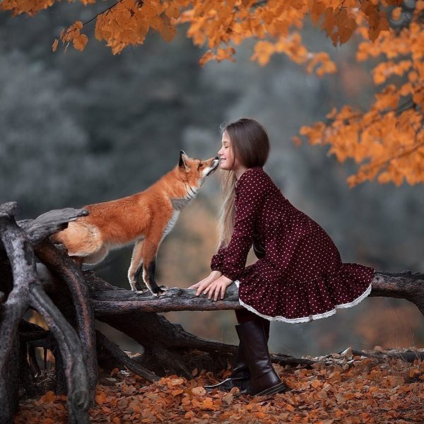 Осень дети и животные